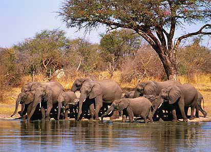 Guided Tour of Zimbabwe