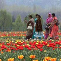 Women’s Special Kashmir Vaishno Devi Tour