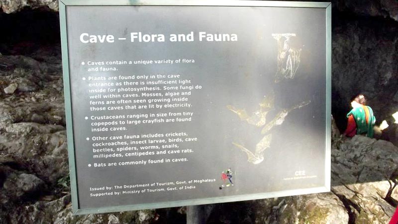 Shillong Group Tour Package