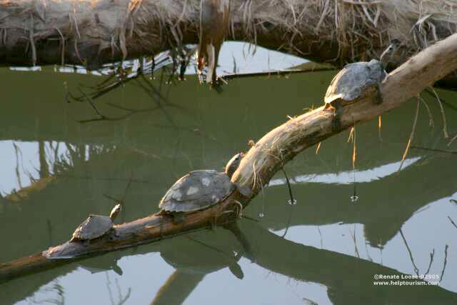 Sundarban Tour Package