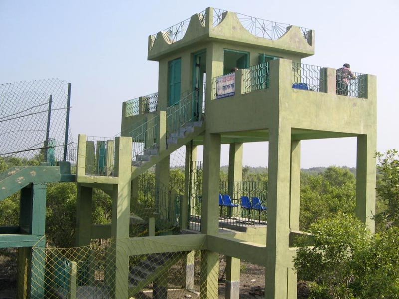 Sundarban Tour Package