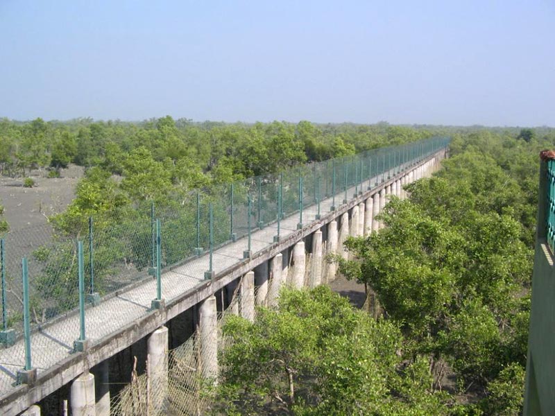 Sundarban Tour Package