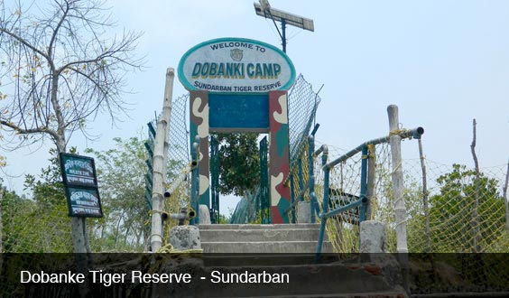Sundarban Tour Package