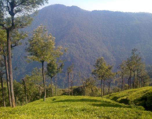 Tamil Nadu Hill Station Tour