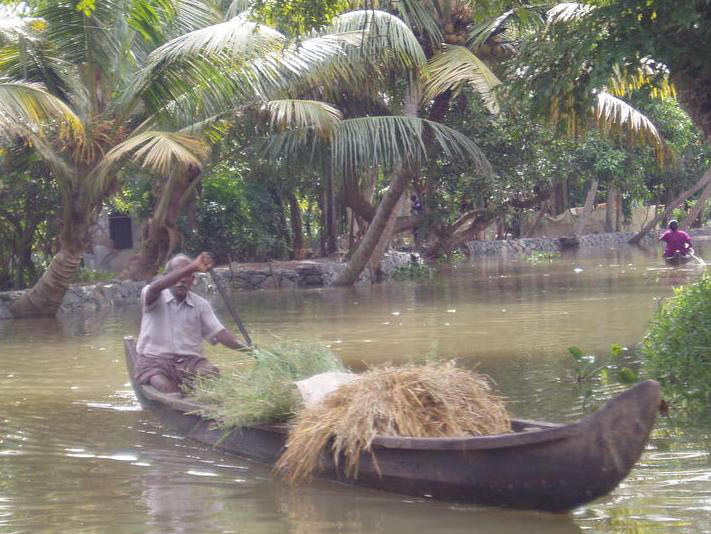 Beautiful Nest And Backwater Tour