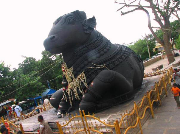 Golden Triangle Tour Ooty