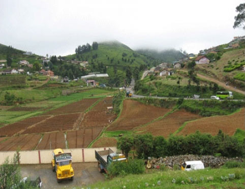 Golden Triangle Tour Ooty