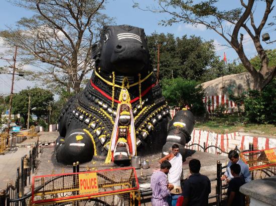 Mysore Ooty From Bangalore Tour