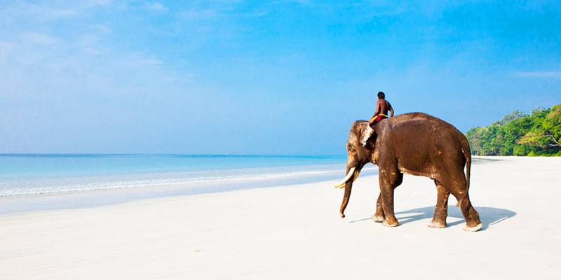 3 Nights & 4 Days Tour From Port Blair , Havelock Island , Ross Island And North Bay Island