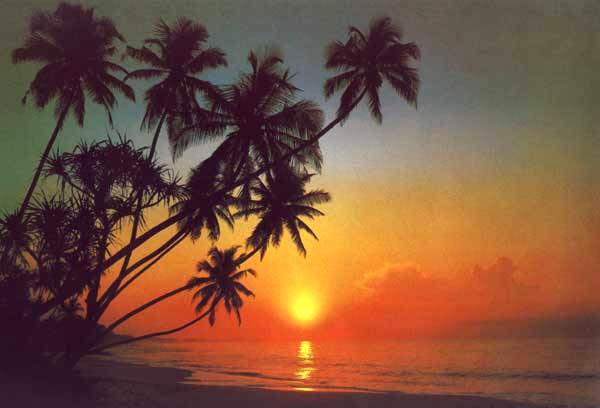 03 Nights Honeymoon package Honeymoon package