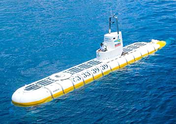 03 Nights Honeymoon package Honeymoon package