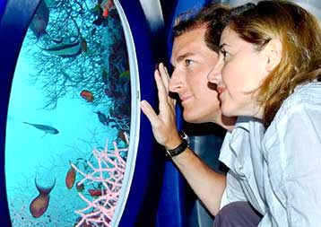 03 Nights Honeymoon package Honeymoon package