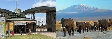 India to Kenya:  Luxury Wildlife &  Kenyan Coastal Escape – 7 Nights / 8 Days