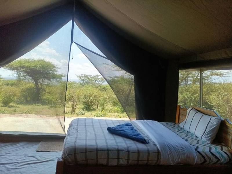 5-Day Kenya-Tanzania Safari Tour Package from India