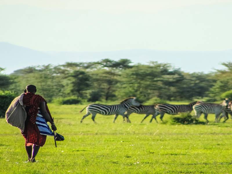 India- Kenya: 8D 7N Tsavo National Park Safari Adventure