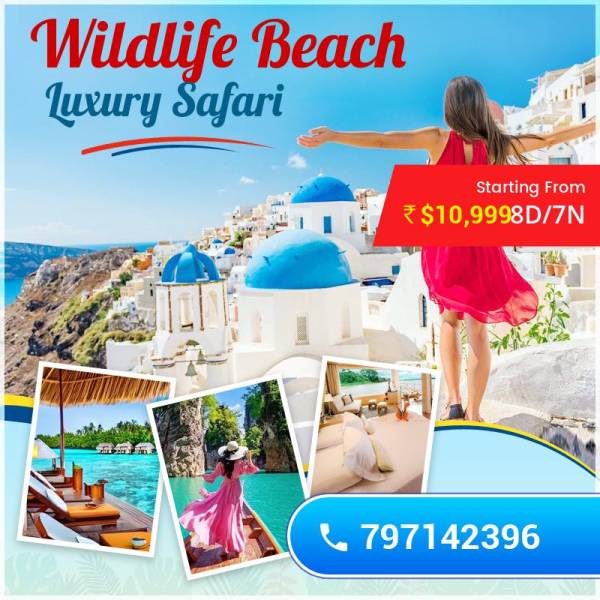 India To Kenya:  Luxury Wildlife &  Kenyan Coastal Escape – 7 Nights / 8 Days