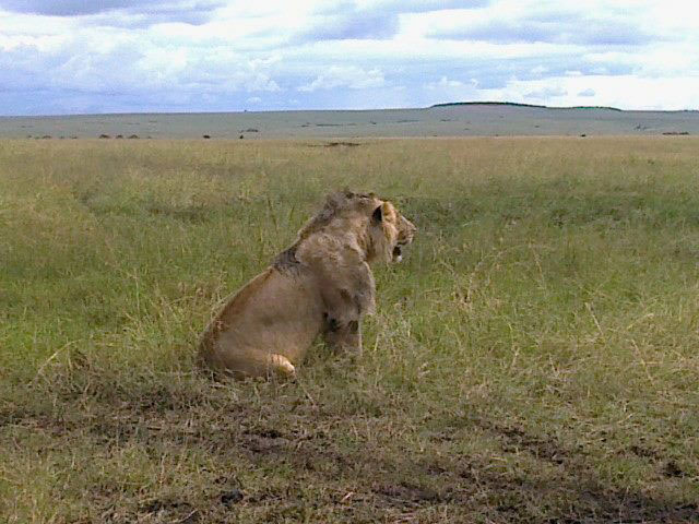 Nalepomara Lodge Road Tour Package