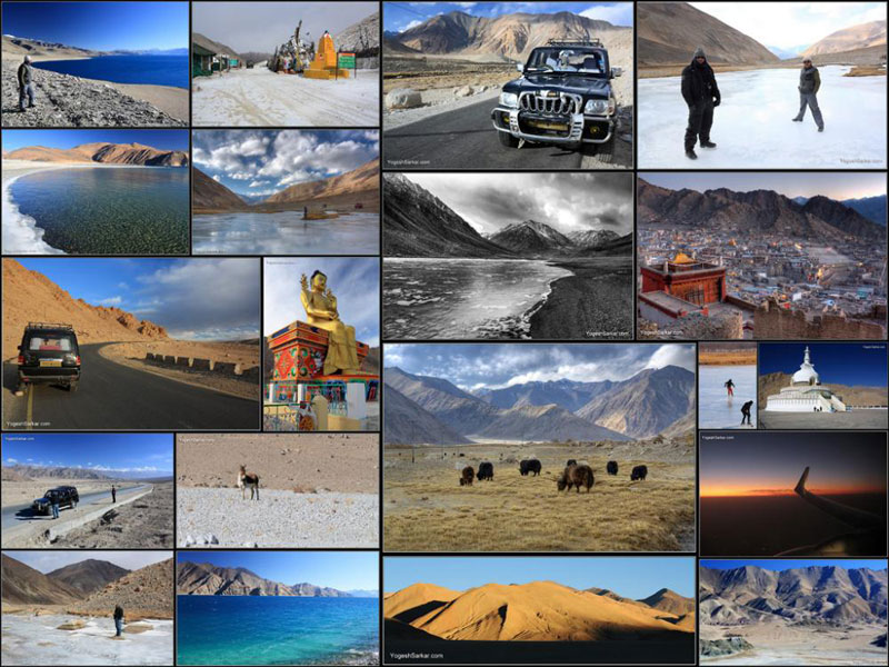 Ladakh Safari Tour