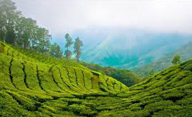 Best of Kerala Tour