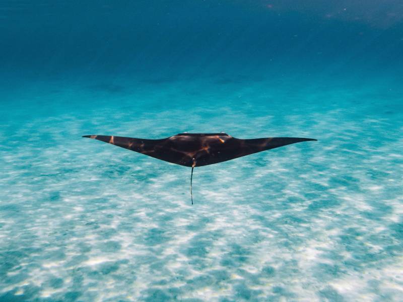 5-day - 4nights Maldives Package