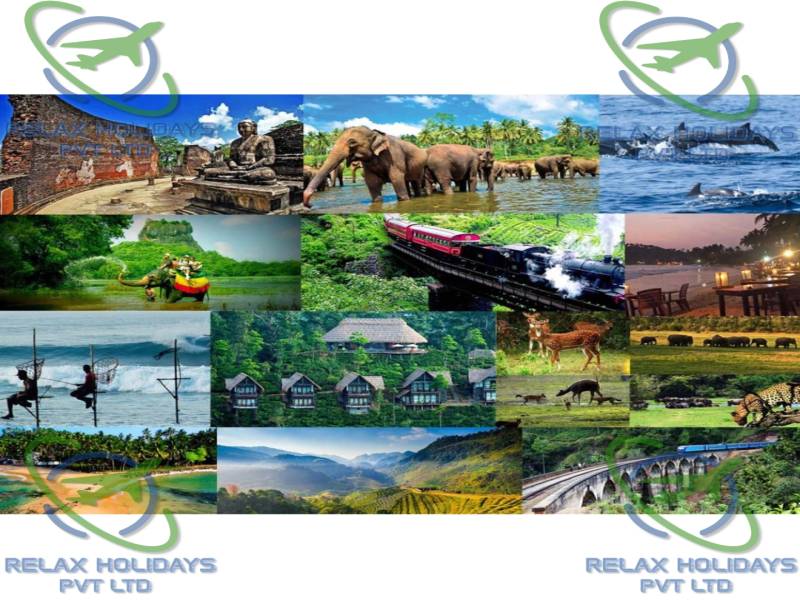 11 Nights 12 Days Best Sri Lanka Package Image