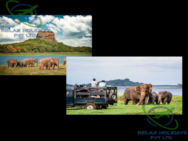 11 Nights 12 Days Best Sri Lanka Package