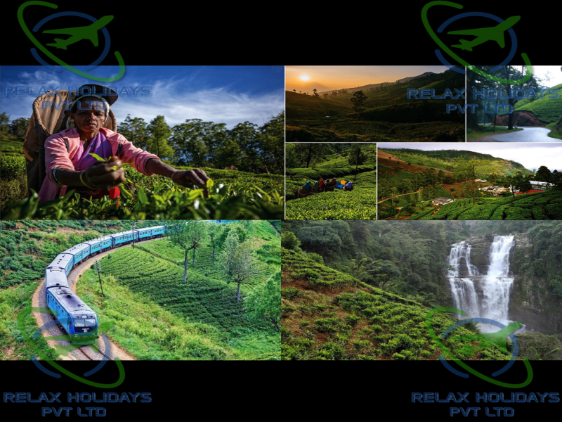 11 Nights 12 Days Best Sri Lanka Package