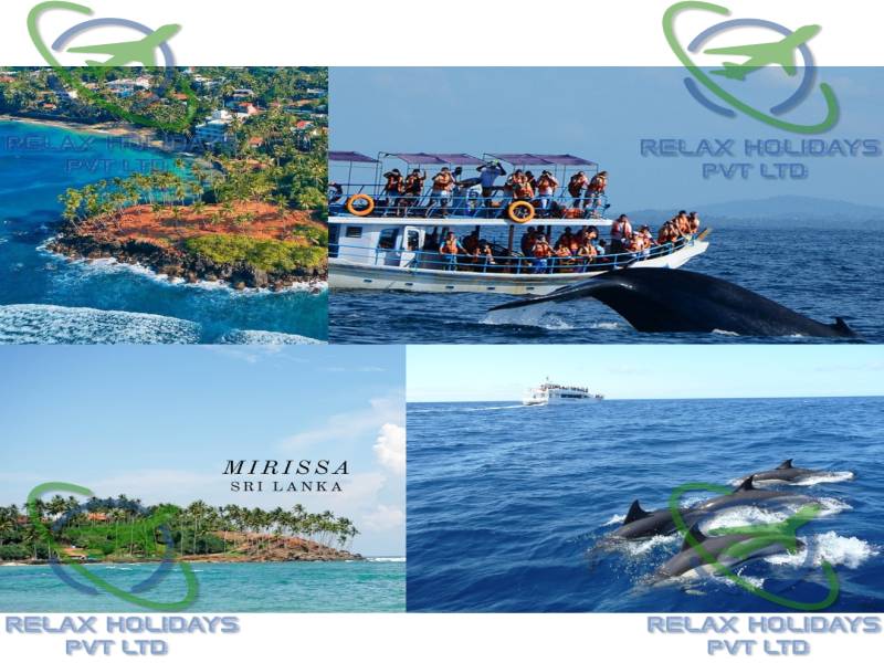 11 Nights 12 Days Best Sri Lanka Package