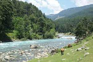 Kashmir Nature Tour