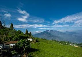 Chilla Nature Trek Bhutan Tour
