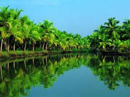 Munnar - Thekkady - Madurai - Kovalam - Alleppey Houseboat - Cochin Tour