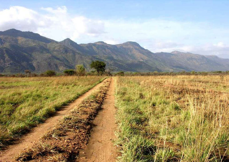 Kenya Discoverer Safari