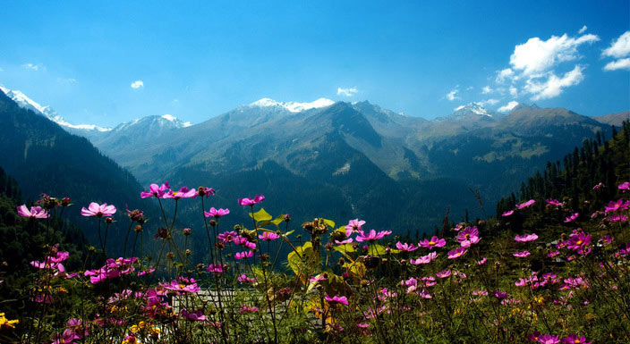 Himachal Hues With Private Vehicle - Honeymoon Special Package