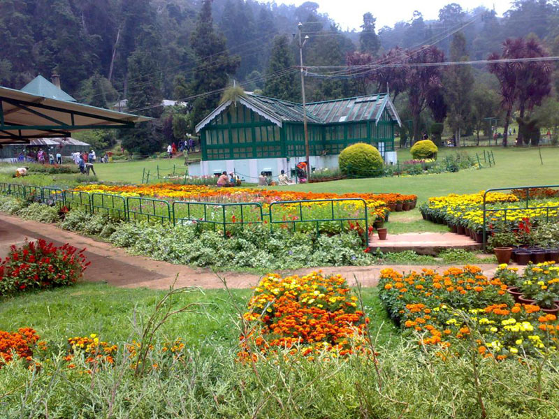 Ooty Tour