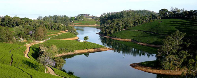 Pollachi - Valpari - Athripally Falls Tour