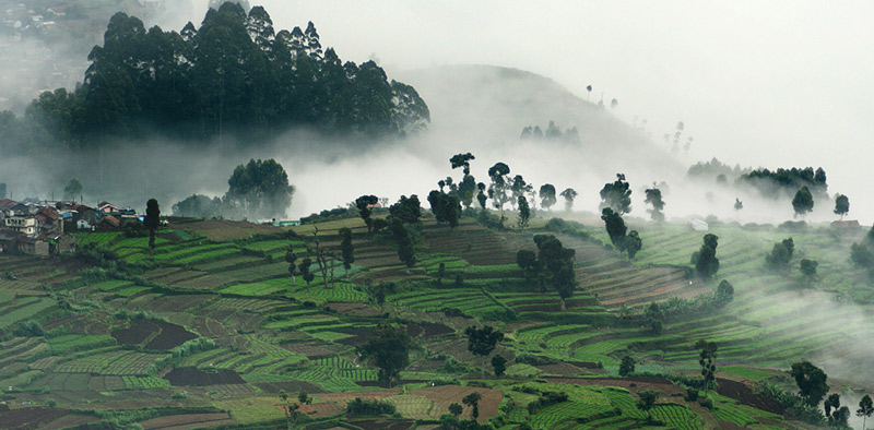 Kodaikanal - Madurai