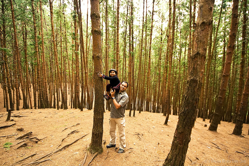 Kodaikanal - Madurai