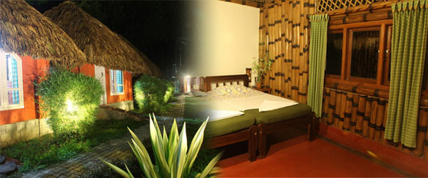 Mysore - Chikmagalur Tour