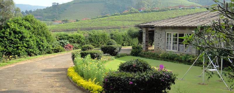 Thalaiyar Tour 2N /3D