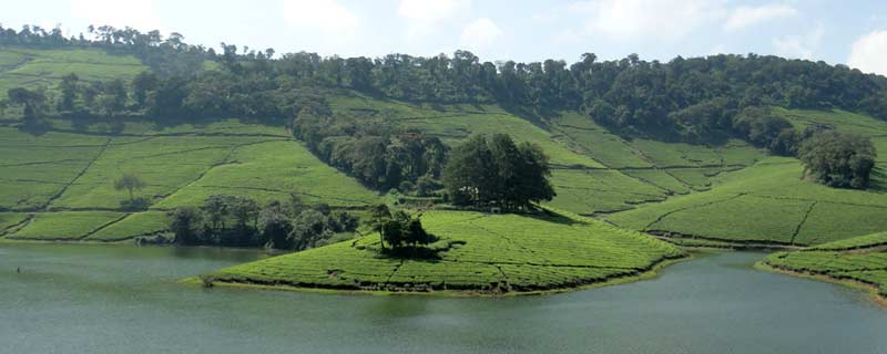 Thalaiyar Tour 2N /3D