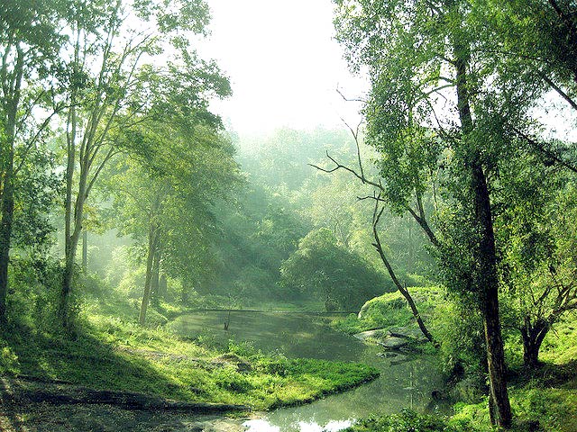 Pollachi - Topslip Tour