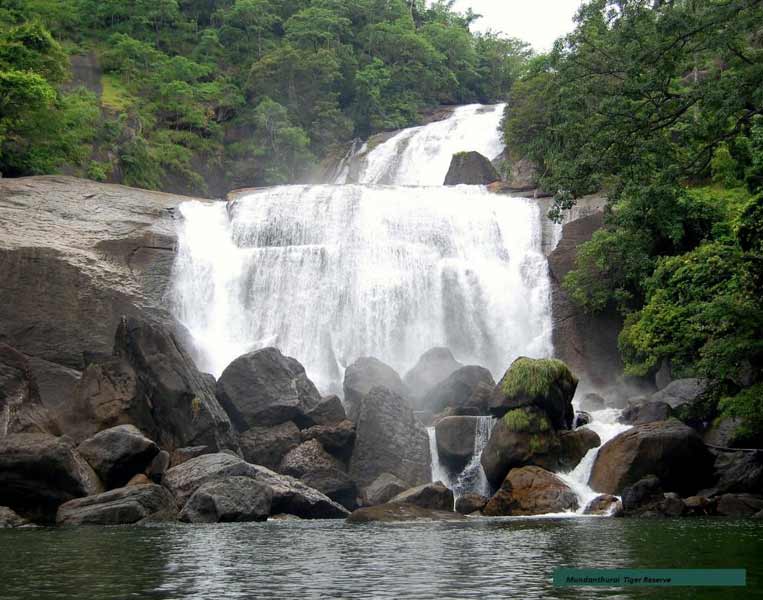 Mundanthurai Tiger Reserve Tour