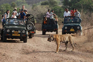 Jim Corbett National Park Tour