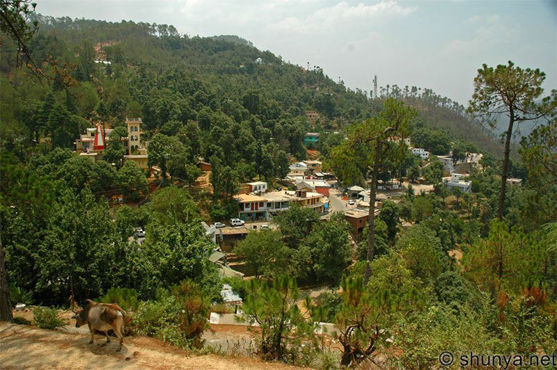 Feel Of Himalayas Tour