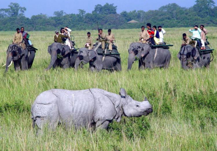 Assam Extra Vaganza Tour