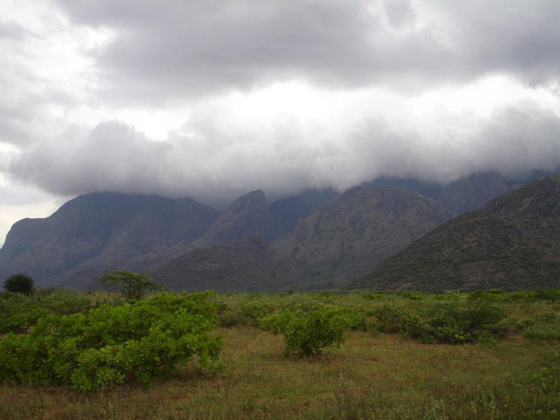 The Blue Mountain Tour