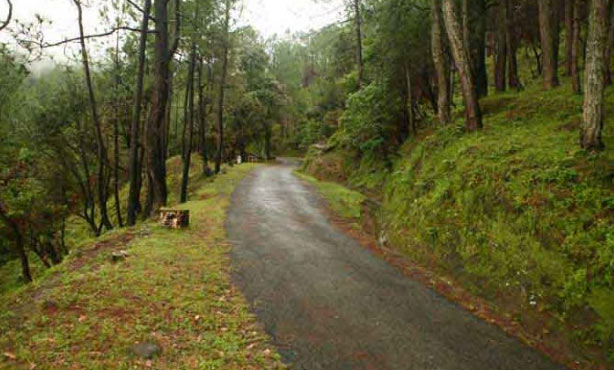 Hills of Kumaon Tour