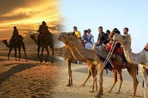 Camel Safari In Rajasthan Tour