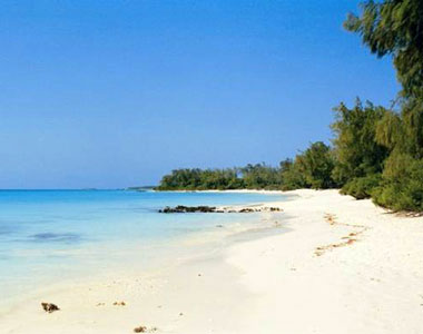 8 Day Johannesburg - Kruger - Coast Tour