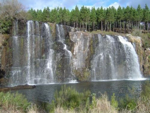 39 Days, 3 Stage, 8 Countries Safari Tour